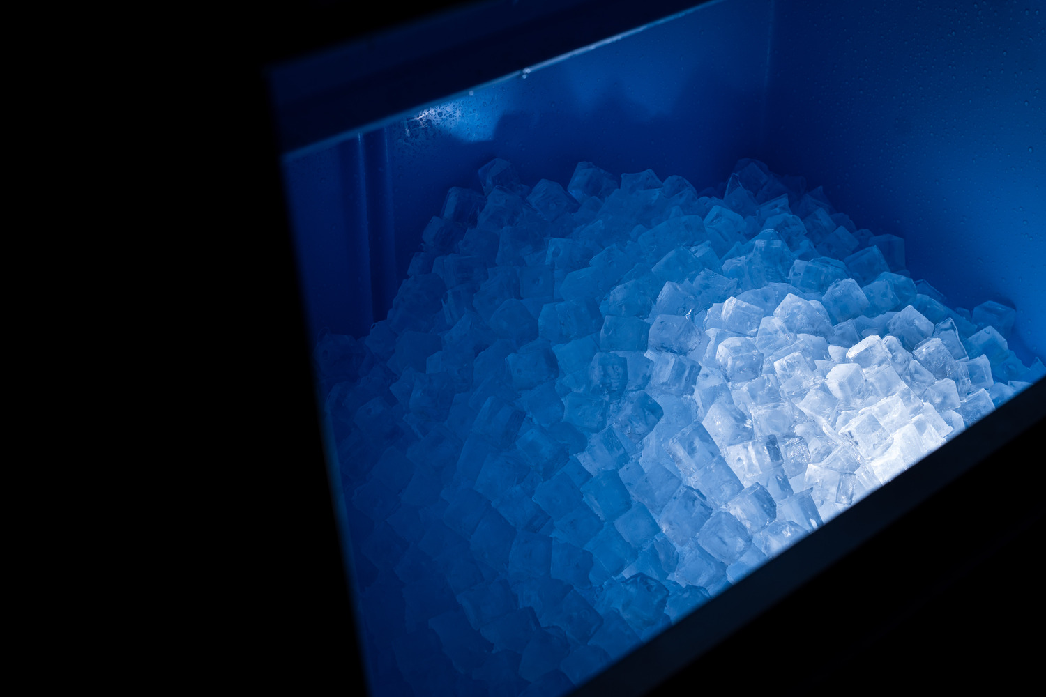 Ghiaccio alimentare Miami Ice