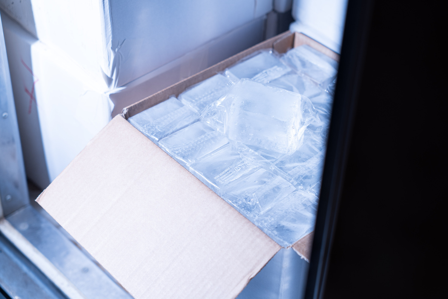Ghiaccio Miami Ice per servizio professionale
